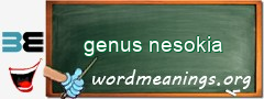 WordMeaning blackboard for genus nesokia